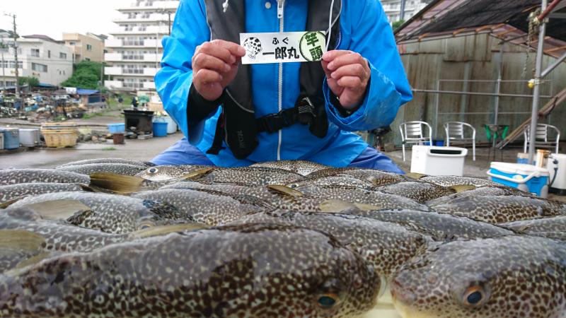 ふぐ釣り好調です！！1枚目
