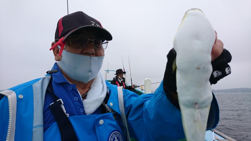 ふぐ釣り好調です！！4枚目