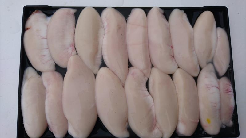 ふぐ釣り好調です！！2枚目