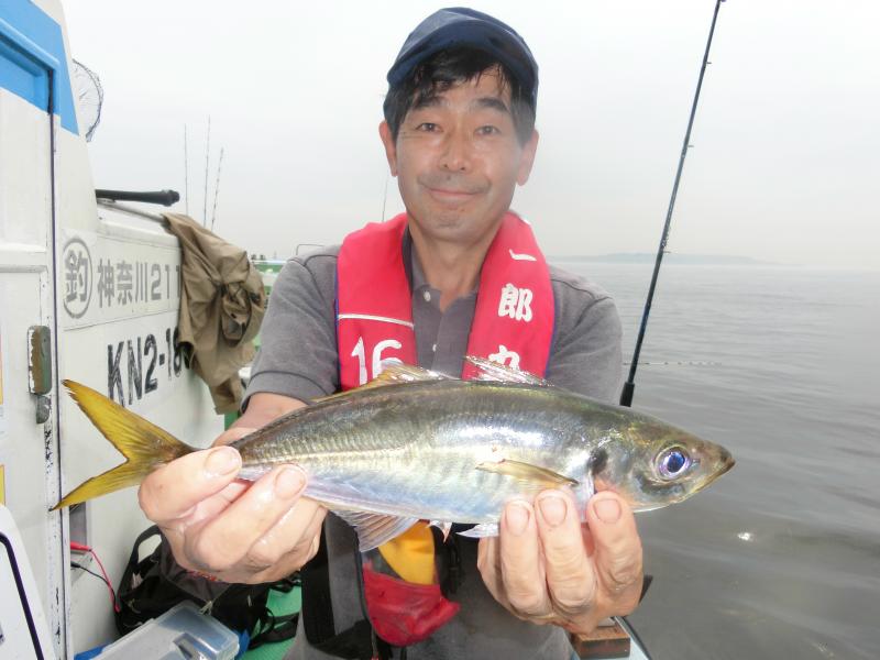タチウオ・アジリレー4枚目