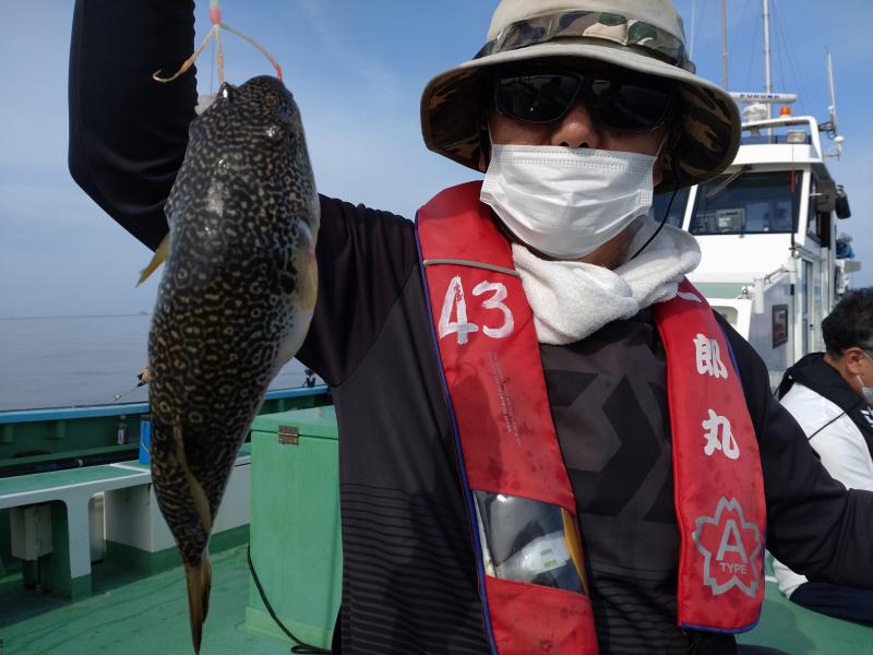 ふぐ釣り好調です！！5枚目