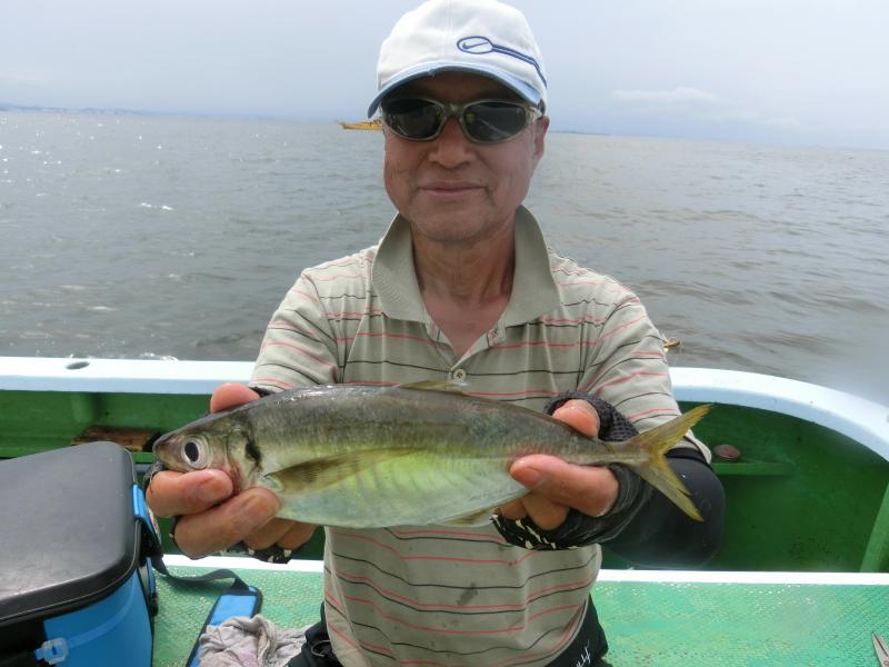 中型アジ大漁です！！3枚目
