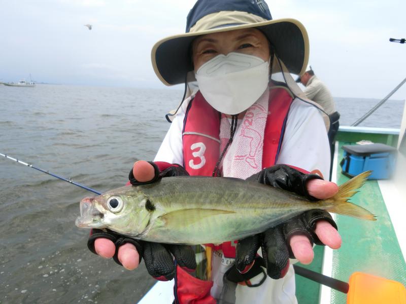 中型アジ大漁です！！4枚目