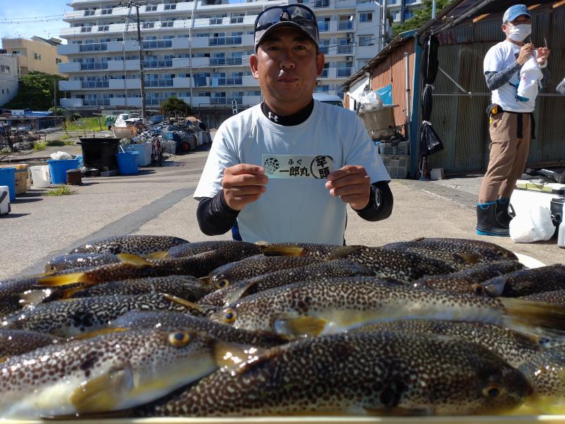 ふぐ釣り好調です！！1枚目