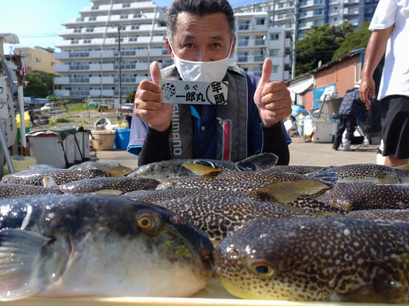 ふぐ釣り好調です！！1枚目