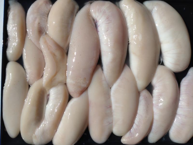 ふぐ釣り好調です！！2枚目