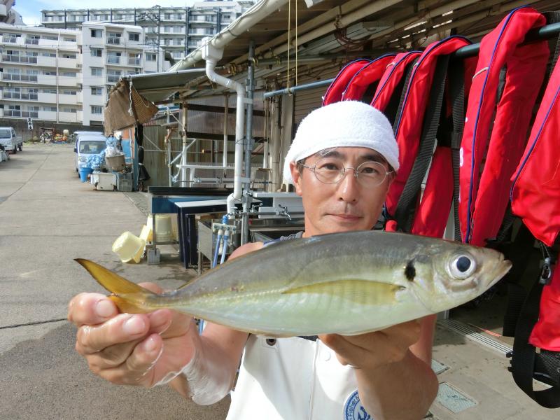 タチウオ・アジリレー5枚目