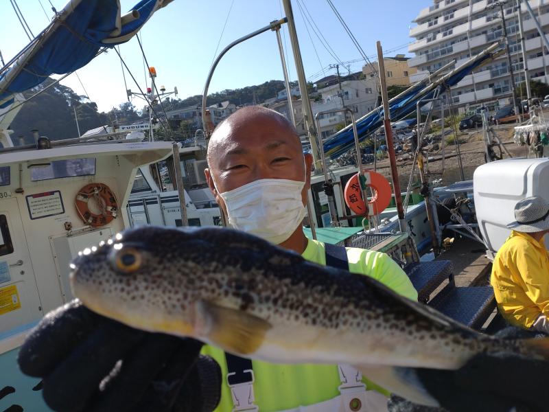 ふぐ釣り好調です！！2枚目