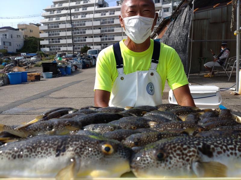 ふぐ釣り好調です！！1枚目