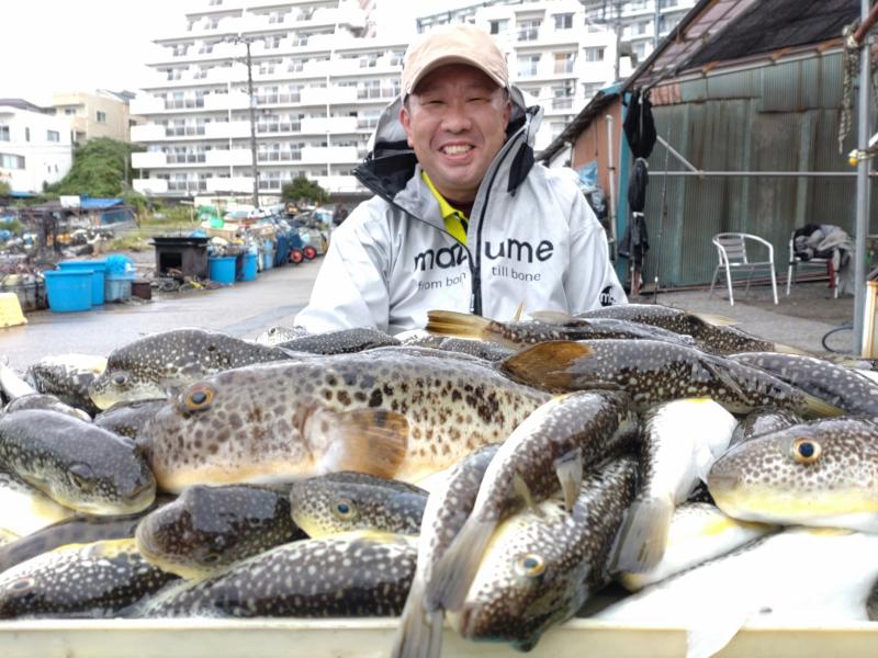ふぐ大漁です！！1枚目