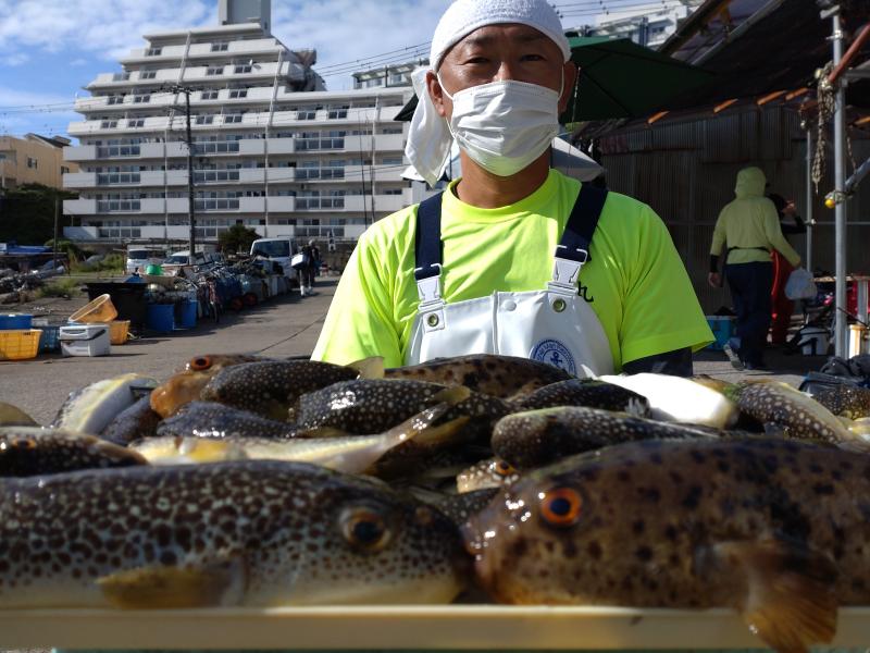 ふぐ釣り好調です！！1枚目