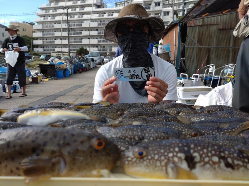 ふぐ釣り好調です！！1枚目