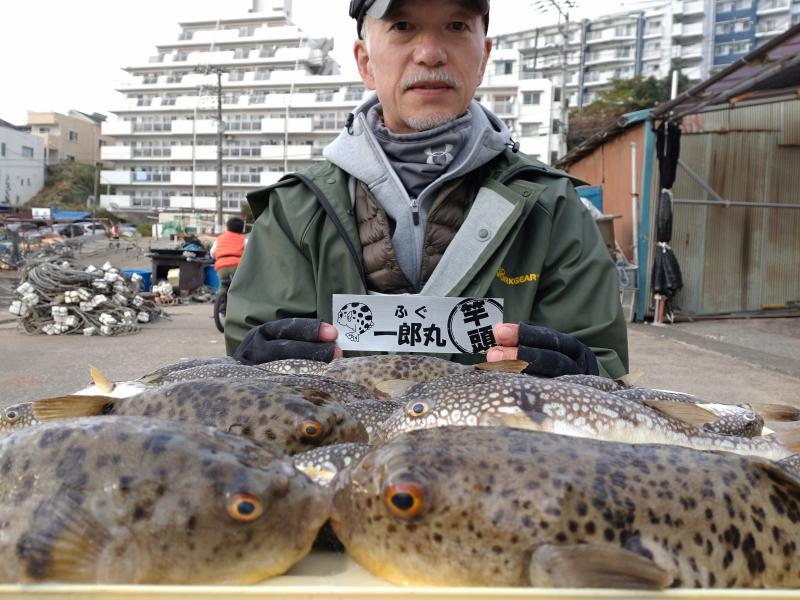 ふぐ釣り好調です！！1枚目