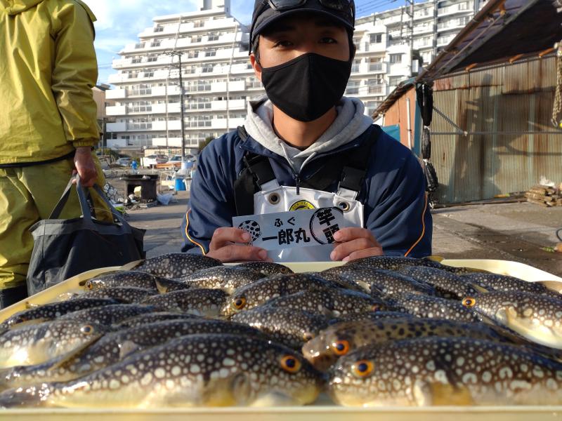 ふぐ釣り好調です！！1枚目