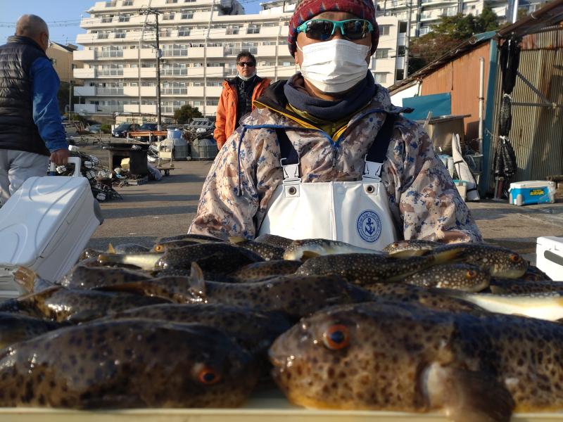 ふぐ釣り好調です！！1枚目