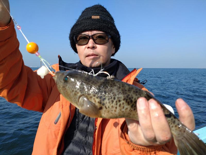 ふぐ釣り好調です！！2枚目