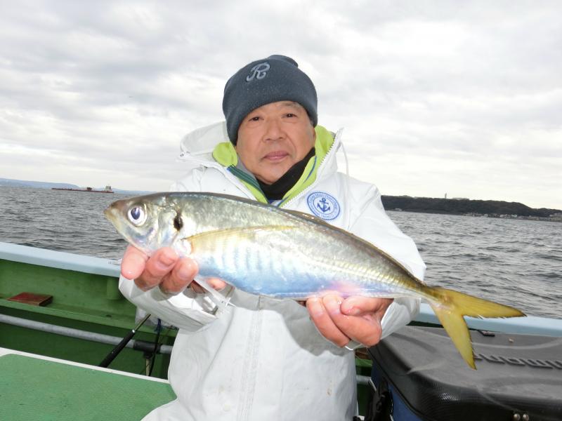 タチウオ・アジリレー4枚目