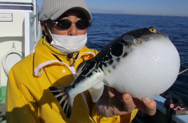 とらふぐ釣り 釣り船 鴨居大室 一郎丸 東京湾 神奈川県 横須賀 三浦