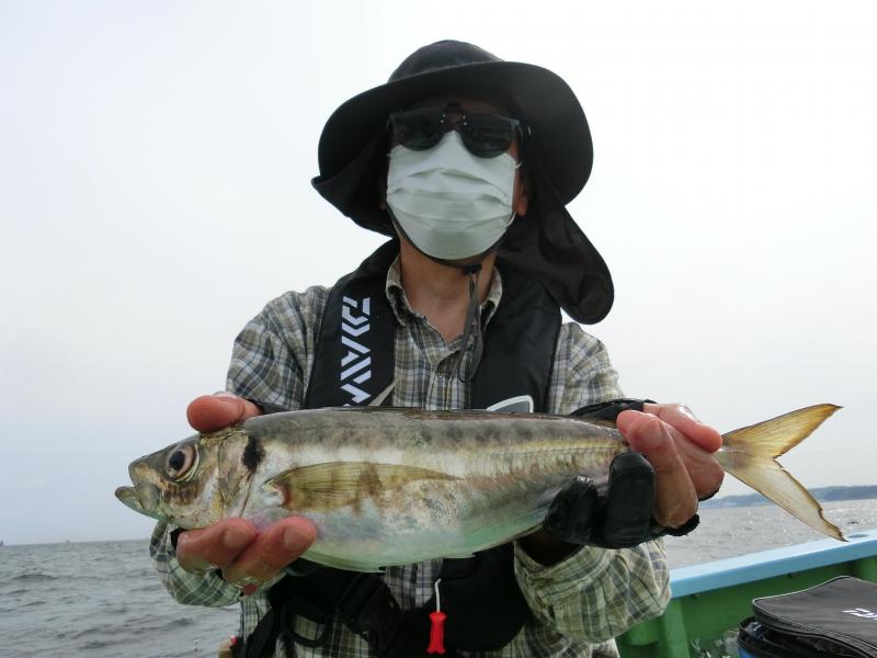 タチウオ・アジリレー3枚目