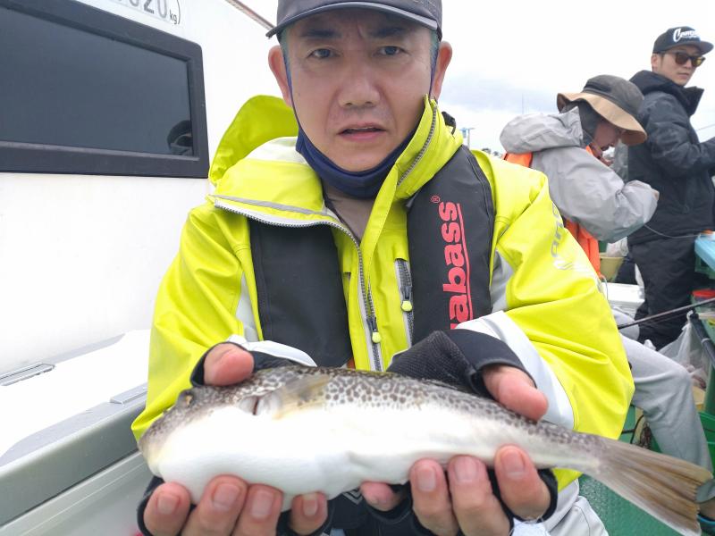 ふぐ釣り好調です！！3枚目