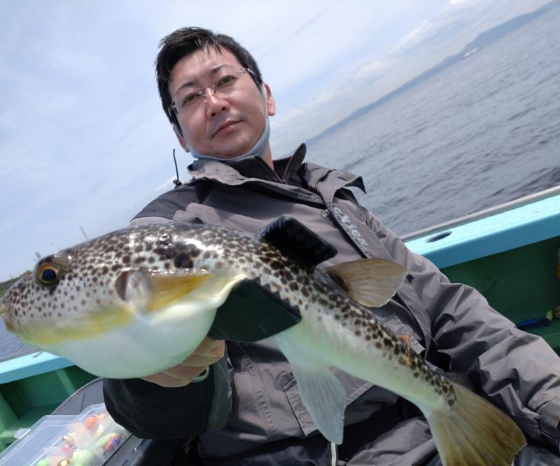 ふぐ釣り好調です 釣り船 鴨居大室 一郎丸 東京湾 神奈川県 横須賀 三浦