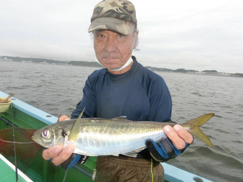 タチウオ・アジリレー1枚目