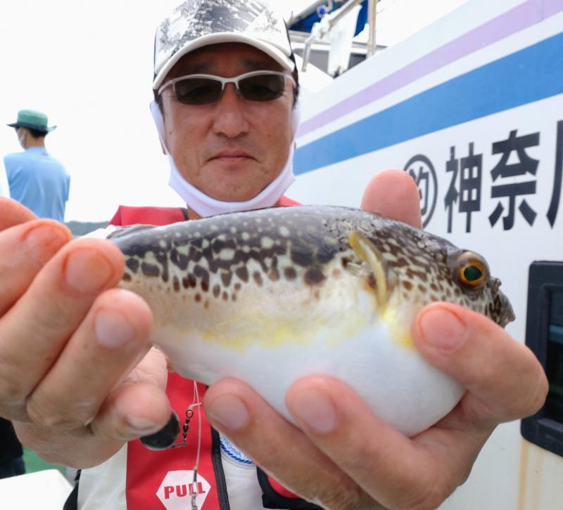 ふぐ釣り2枚目