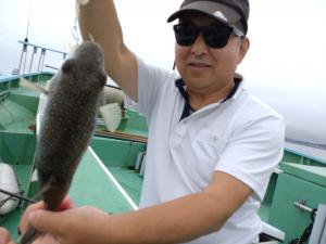 ふぐ釣り好調です！！