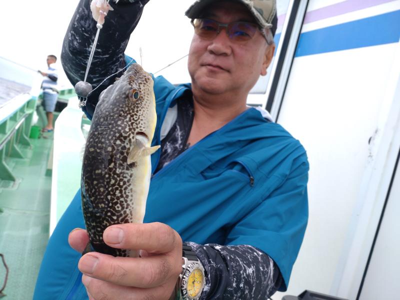 ふぐ釣り好調です！！1枚目