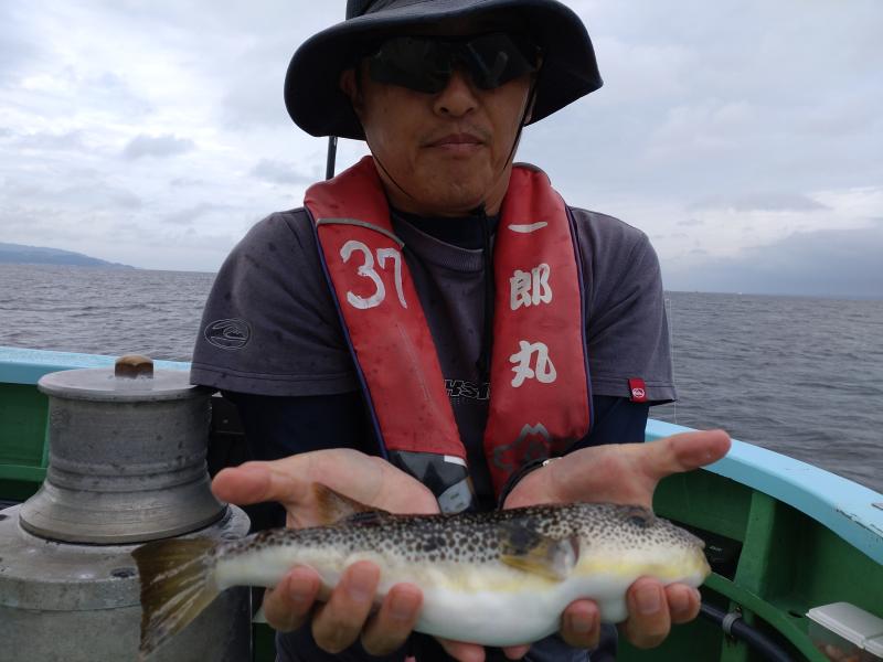 ふぐ釣り好調です！！2枚目