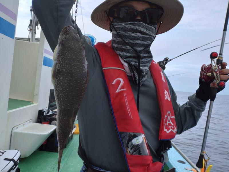 ふぐ釣り好調です！！1枚目