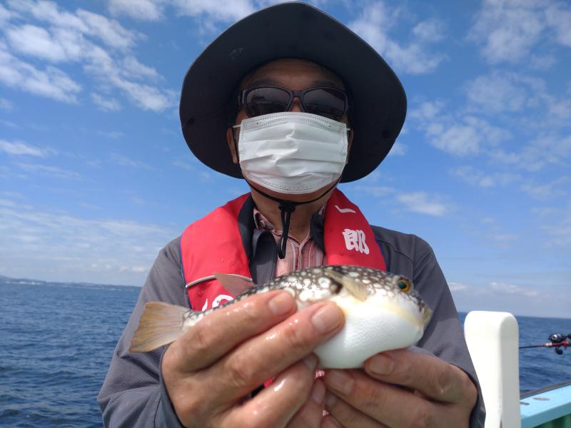 ふぐ釣り好調です！！1枚目