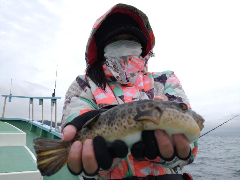 ふぐ釣り好調です！！3枚目