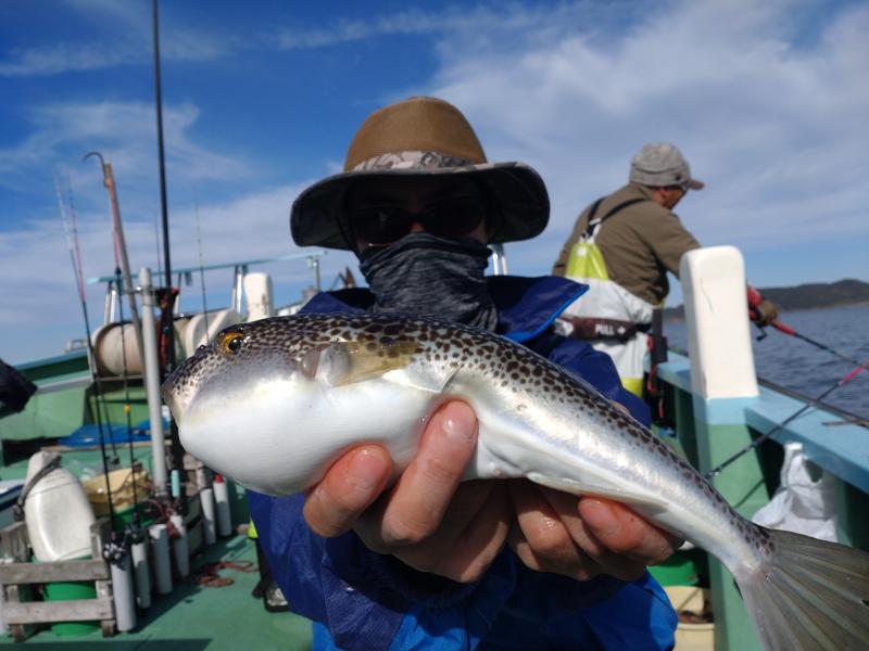 ふぐ釣り好調です！！1枚目