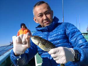 ふぐ釣り好調です！！