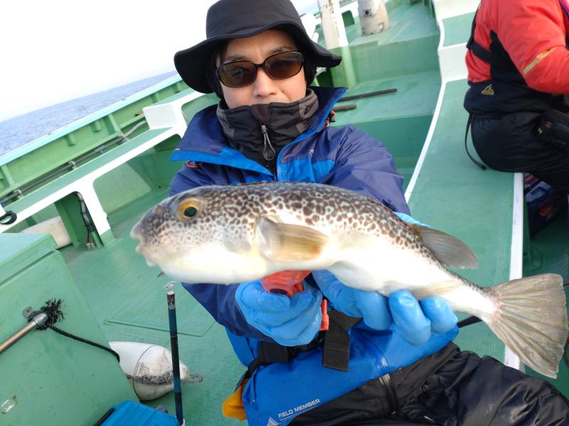 ふぐ釣り好調です！！1枚目