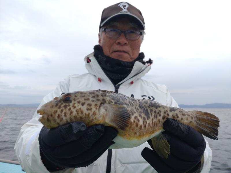 ふぐ釣り好調です！！1枚目