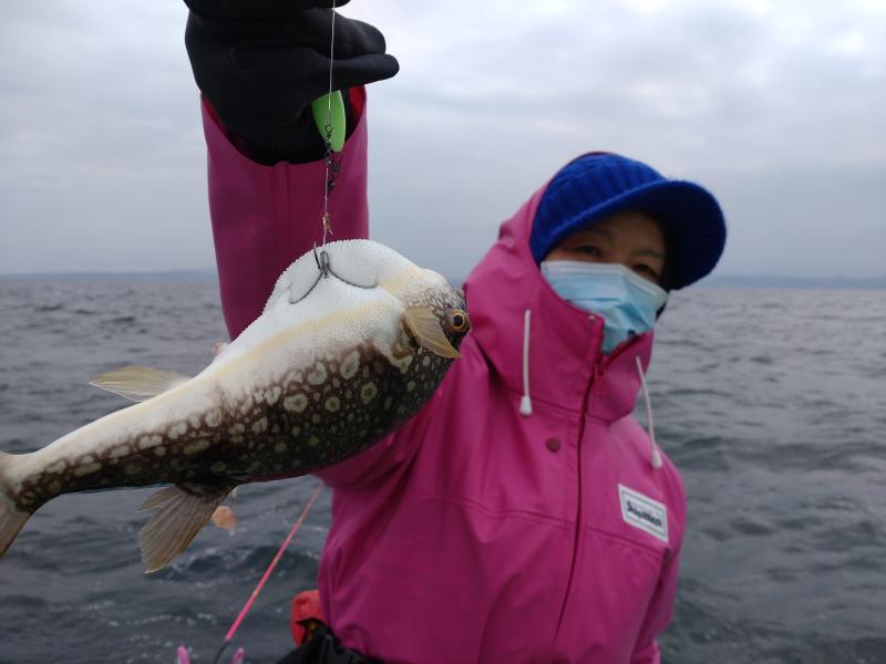 ふぐ釣り好調です！！2枚目