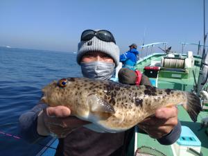 ふぐ釣り好調です！！