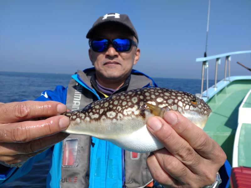 ふぐ釣り好調です！！3枚目