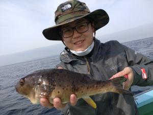 ふぐ釣り好調です！！
