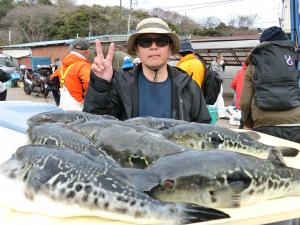 とらふぐ釣り好調です！！