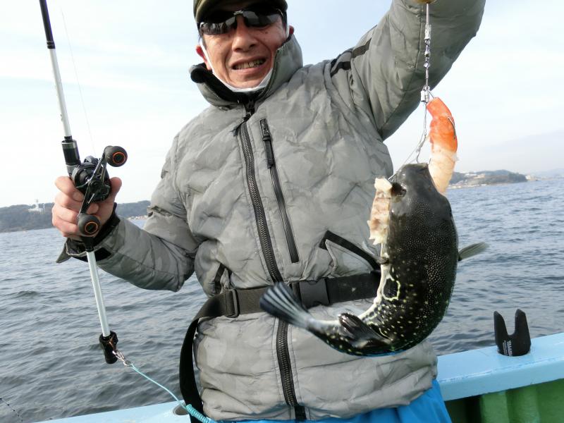 とらふぐ釣り好調です！！3枚目