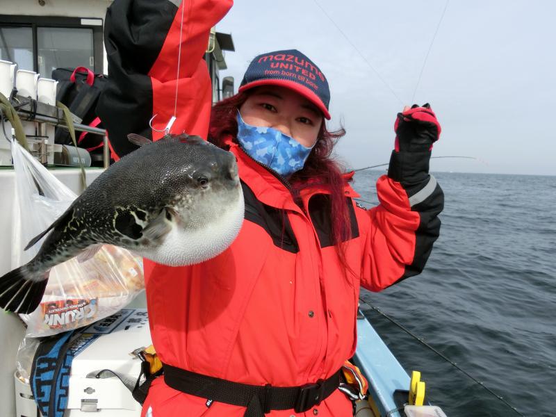 とらふぐ釣り好調です！！4枚目