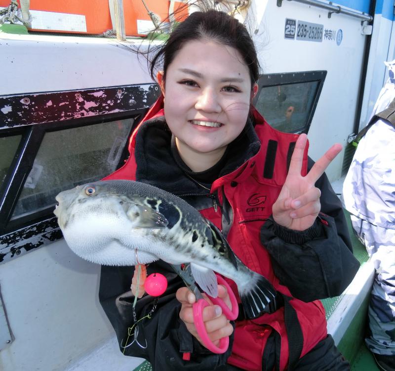とらふぐ釣り好調です！！2枚目
