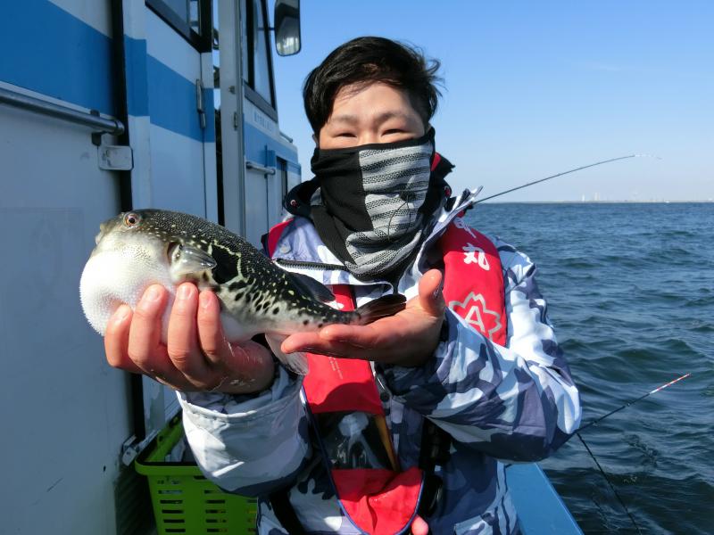 とらふぐ釣り好調です！！3枚目