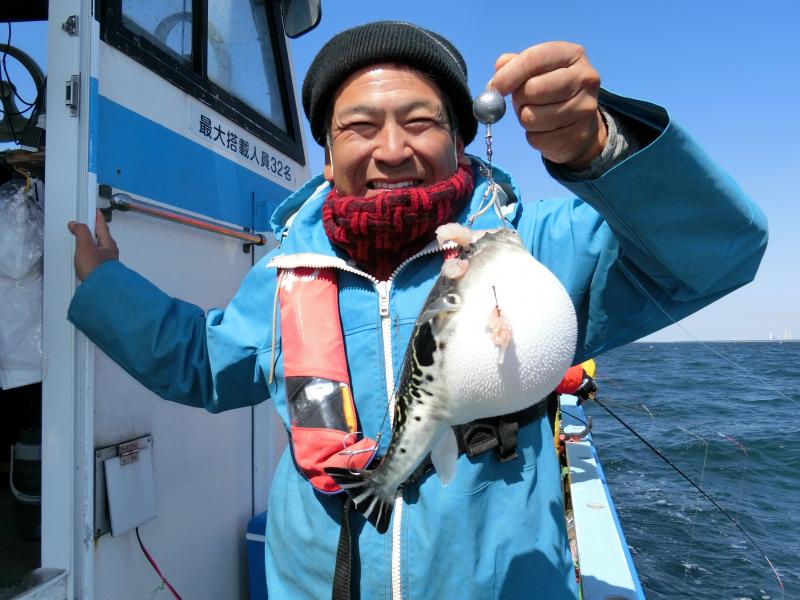 とらふぐ釣り好調です！！4枚目