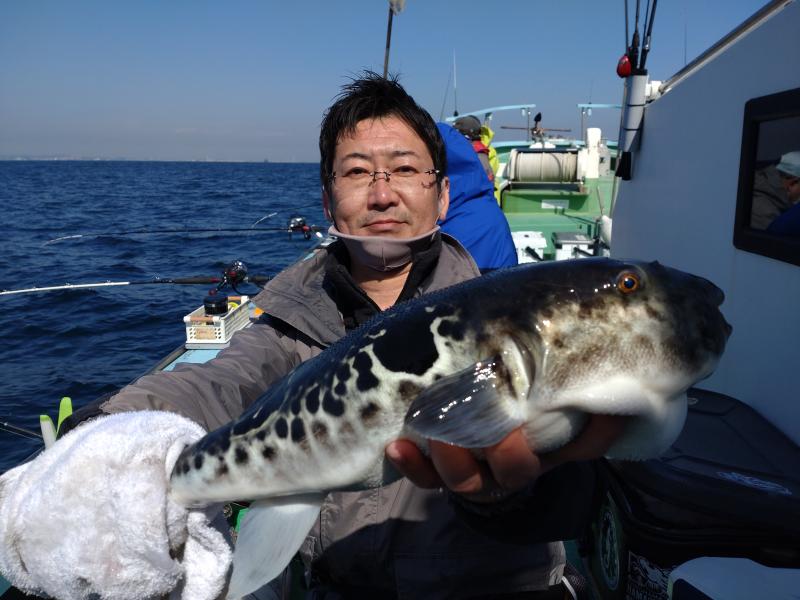 とらふぐ釣り1枚目