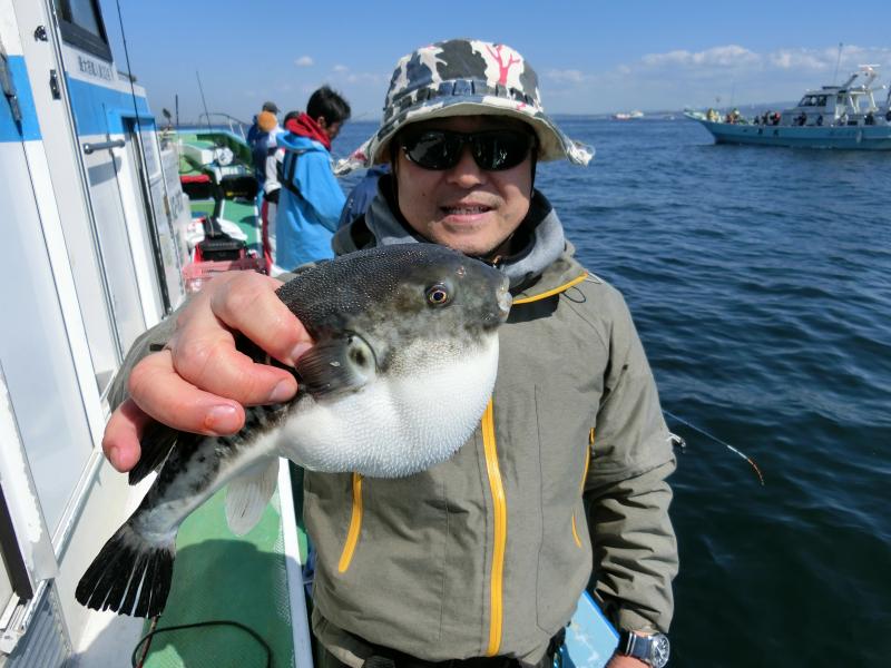 とらふぐ釣り3枚目