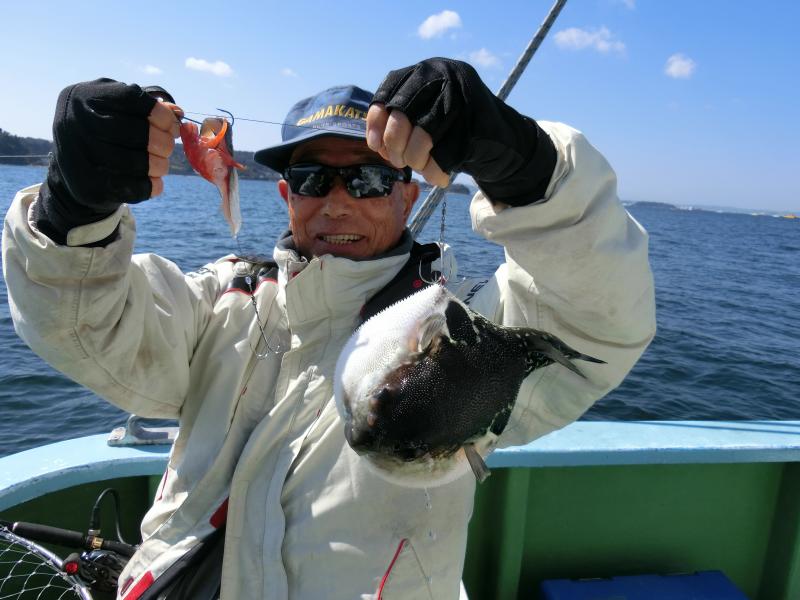 とらふぐ釣り4枚目